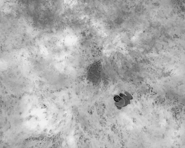 recherche nid infra rouge